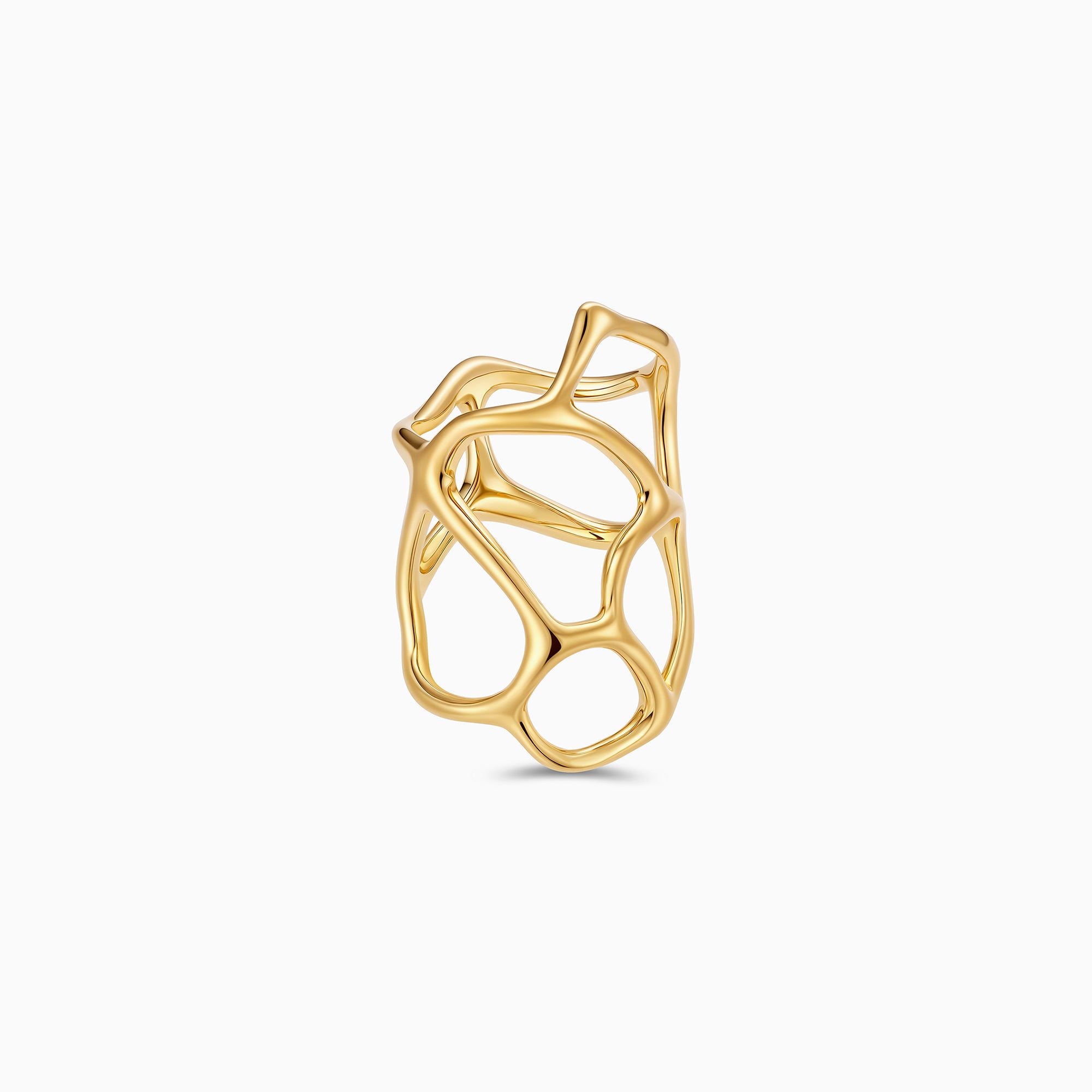 Intricate Mesh Ring