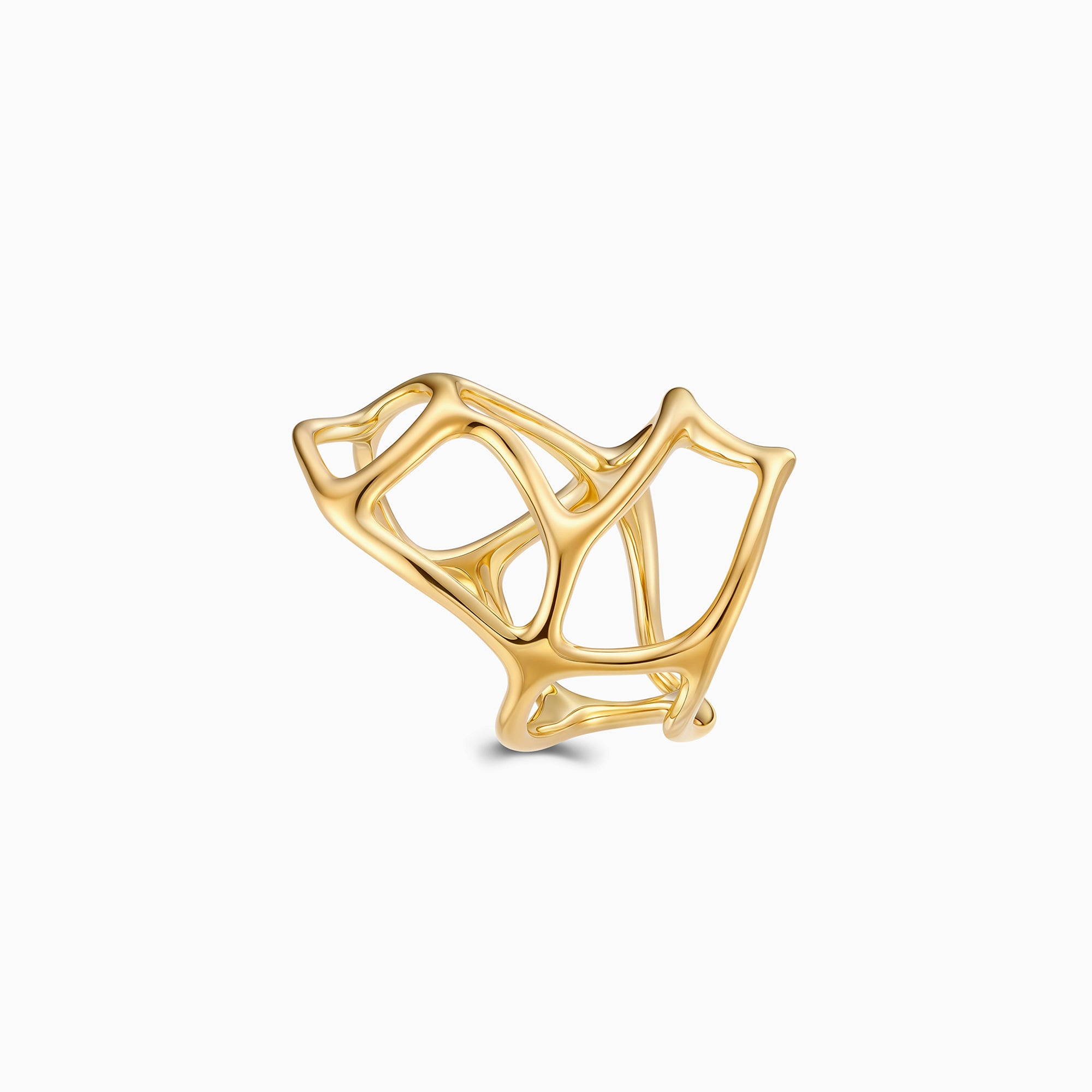 Intricate Mesh Ring
