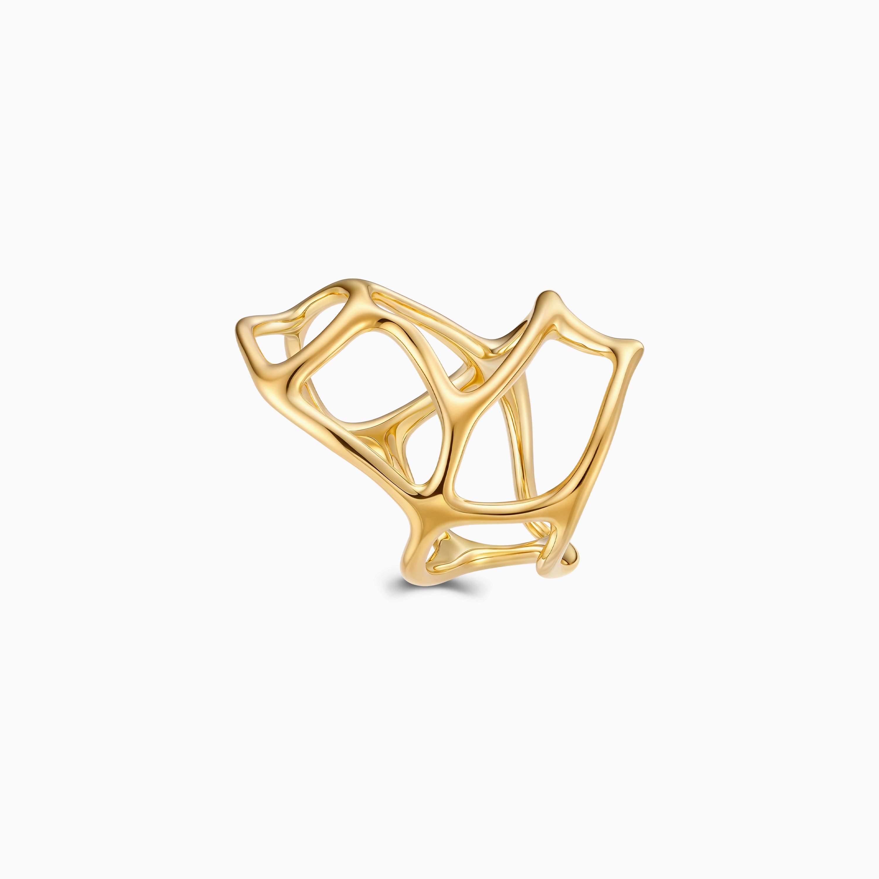 Intricate Mesh Ring