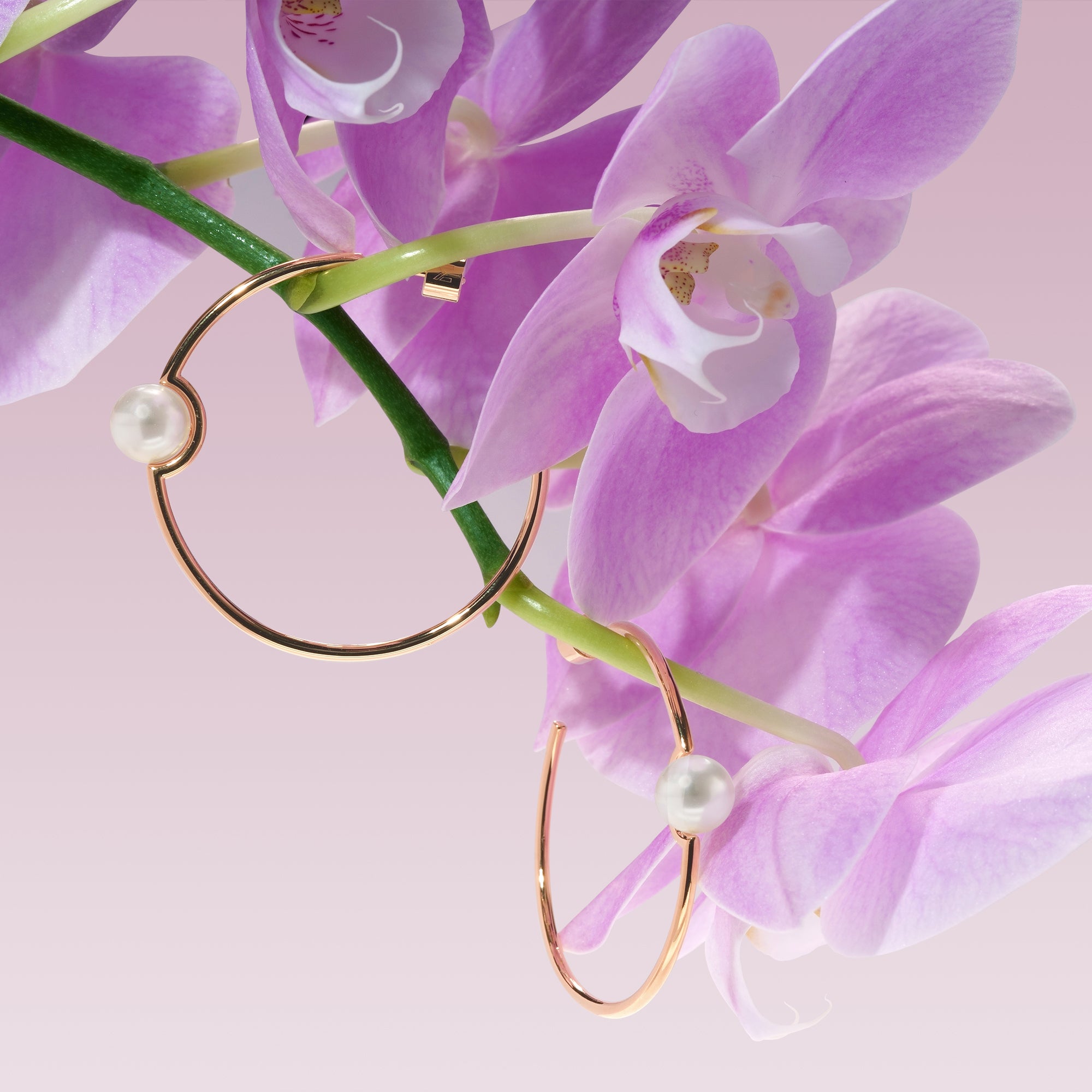 Slender Hoop Pearl Earrings